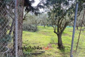 Διάρρηξη στη Λ. Κηφισίας: Βίντεο ντοκουμέντο - Η στιγμή που δράστες μπαίνουν και αδειάζουν κατάστημα κινητής τηλεφωνίας