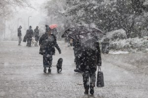 "Άσπρισε" η Ξάνθη από το χαλάζι - "Ποτάμια" οι δρόμοι μετά από νεροποντή στην πόλη