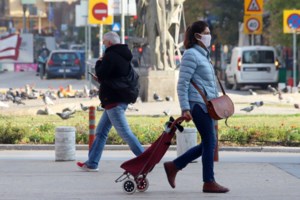 ΗΠΑ: Θετικοί στον κορονοϊό δύο γορίλες στον ζωολογικό κήπο του Σαν Ντιέγκο