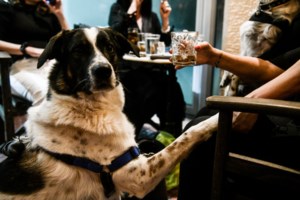 Φαρμακοποιοί για self test: Τέλος στη δωρεάν διάθεσή τους από τα φαρμακεία στις 19 Ιουνίου