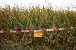 Νέα πρόκληση Ερντογάν: "Ενισχύουμε την ασφάλεια σε κάθε σπιθαμή της γαλάζιας πατρίδας"