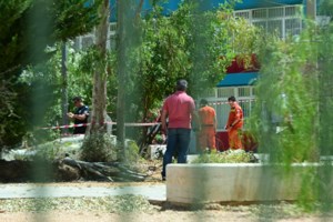 Τραγωδία στην Τροιζηνία: Σκοτώθηκε μικρό αγόρι στο Διαβολογέφυρο - Έπεσε πάνω του κλαδί δέντρου, του έγινε ανάνηψη