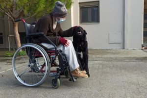 Παναθηναϊκός: Η ξεχωριστή ευχή για τις γιορτές - "Υιοθέτησε κι εσύ έναν αδέσποτο σκύλο"