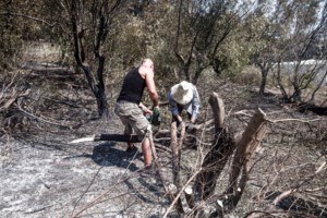 Φωτιά στον Αυλώνα: Ποινική δίωξη σε βαθμό κακουργήματος στον 45χρονο πρώην δικηγόρο που συνελήφθη για εμπρησμό