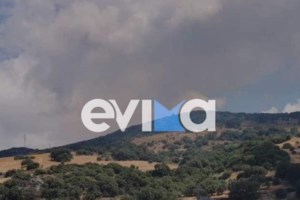 Πολύ υψηλός κίνδυνος πυρκαγιάς το Σάββατο: Ο χάρτης με τις περιοχές