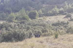 AQUA BLUE: Βλάβη στη μια από τις κύριες μηχανές του - Αναχώρησε για Λαύριο χωρίς επιβάτες