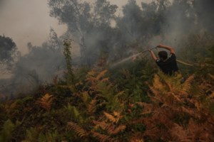 Φωτιά Εύβοια: Βελτίωση και "ανάσα" για Σπαθάρι, Καλύβια και Κάκαβο- Μάχη να μην περάσουν οι φλόγες στο Καντήλι - εικόνα 6