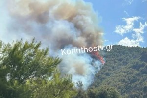 Φωτιά πάνω από το Ξυλόκαστρο: Κραυγή αγωνίας από τον δήμαρχο - Νέο 112 για εκκένωση - Θα δοθεί μάχη όλη τη νύχτα [βίντεο] - εικόνα 4