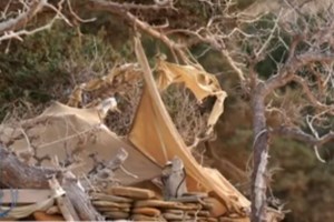 Γαύδος: Κατασκηνωτής τουρίστας κατήγγειλε άγριο ξυλοδαρμό- Για "υπερβολές" κάνει λόγο η δήμαρχος - εικόνα 2