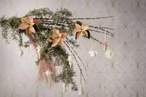 Αλεξανδρινό, το λουλούδι των Χριστουγέννων: Πώς θα το φροντίσετε σωστά για να το κρατήσετε "ζωντανό" - εικόνα 3