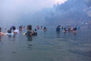 Δίκη για το Μάτι - Δ. Λιότσιος: Η Πυροσβεστική δεν μερίμνησε για συνεχή εναέρια επιτήρηση της φωτιάς