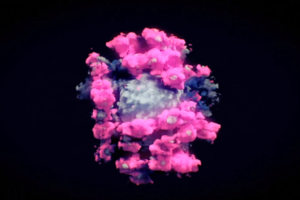 Δεύτερο ρωσικό εμβόλιο κατά του κορονοϊού: 100% αποτελεσματικό, λέει η Ρωσία