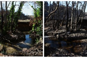 Το 7ο πάρκο "τσέπης" της Αθήνας: Πρασίνισε ο Άγιος Αρτέμιος