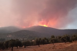 Φωτιά στην Εύβοια: "Αυτό που πέτυχαν οι πυροσβέστες μας και η Πολιτική Προστασία ήταν θεωρητικά ακατόρθωτο" λέει ο Κικίλιας
