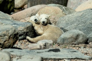 Ο κορονοϊός "χτύπησε" και τη σαμπάνια: Μείον 100 εκατ. μπουκάλια στις φετινές πωλήσεις - εικόνα 2