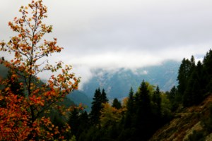 Σχολεία: Έως την Παρασκευή μπορούν να προμηθευτούν οι μαθητές τα έξι self test για όλο τον Σεπτέμβριο