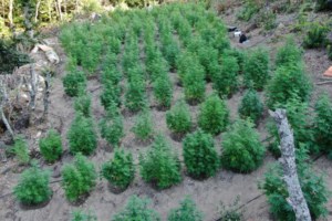 Αστυνομικός της Ομάδας Δίας πέθανε εν ώρα υπηρεσίας στη Χαλκίδα