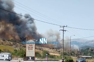 Φωτιά στη Ναύπακτο: Ντοκουμέντο με το σπασμένο φτερό του Canadair που χτύπησε σε δέντρο - Πώς αποφεύχθηκε η τραγωδία [εικόνα, βίντεο] - εικόνα 3