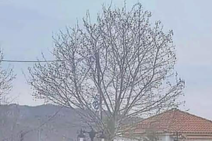 Πέθανε ο ηθοποιός Κωνσταντίνος Λεβαντής σε ηλικία 42 ετών - εικόνα 2