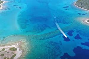 Ο Μπιλ Γκέιτς έγινε για πρώτη φορά παππούς και είναι πανευτυχής - Τι ευχήθηκε στην εγγονή του - εικόνα 5