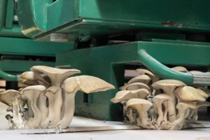 Ο Κοτζιάς καταγγέλλει τον Τζανακόπουλο για αποκλεισμό του από εκδήλωση: "Ο Τσίπρας θα έπρεπε να ντρέπεται"