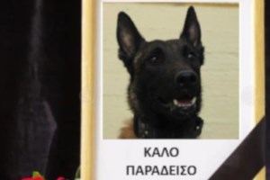 Anubis: Υπάρχουν ενδείξεις για το ποιος βρίσκεται πίσω από τη δηλητηρίαση του Echo - Δεχόμασταν επώνυμες απειλές