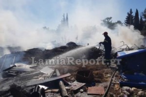 Φωτιά στο Πέραμα: Μία σύλληψη από την Πυροσβεστική - Ολονύχτια μάχη με τις φλόγες - εικόνα 4