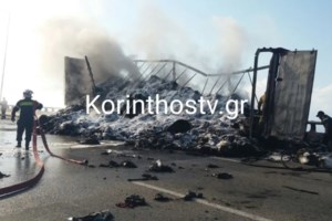 "Αντιπύρ": Η μέθοδος που χρησιμοποιούν οι δασοκομάντος της Πυροσβεστικής για να ελέγξουν τις πυρκαγιές [βίντεο]