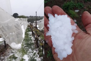 Πρέβεζα: Αποκαλύφθηκε ανεξερεύνητο εντυπωσιακό σπήλαιο με σταλακτίτες και σταλαγμίτες