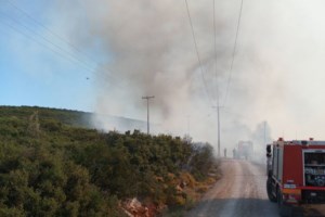 Ανεξέλεγκτη η πυρκαγιά στη Χίο - Εκκενώνεται και δεύτερος οικισμός - εικόνα 2