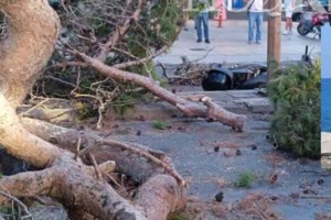 Ανατριχιαστική αποκάλυψη για τον νεκρό μοτοσικλετιστή στο Ηράκλειο: Του φώναζαν ότι πέφτει το δέντρο αλλά δεν τους άκουγε