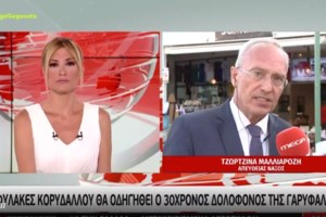 Εγκλημα στη Φολέγανδρο: "Συγγνώμη για όλα", λέει τώρα ο 30χρονος - "Σφαγή" μεταξύ Βλάχου και Κούγια για την ψυχασθένεια - εικόνα 3