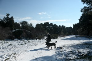 Σαρώνει η κακοκαιρία: Βροχές, χιόνια, θυελλώδεις άνεμοι και βουτιά του υδράργυρου - Η πρόγνωση για την Αττική [Χάρτες-Βίντεο] - εικόνα 2