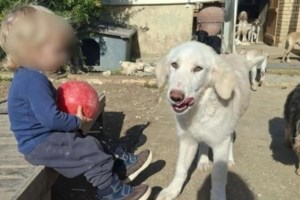 Ζάκυνθος: "Να εγκαταλείψω εγώ το παιδί μου;" - Ο πατέρας του 2χρονου απαντά στις επικρίσεις για αμέλεια