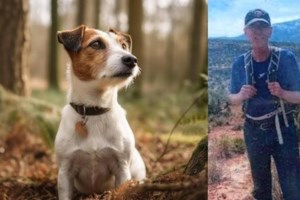 Δήλεσι: Αγωνία για την εξαφάνιση του 68χρονου υδραυλικού- "Έλεγε πράγματα που δεν είχαν συνοχή, μπέρδευε τα λόγια του" - εικόνα 2