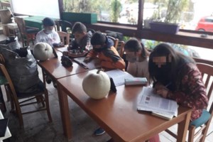 Fake news ξανά από τον Τσίπρα στη Βουλή - Η ανάρτηση για το "πρόστιμο σε συνταξιούχο" - εικόνα 3