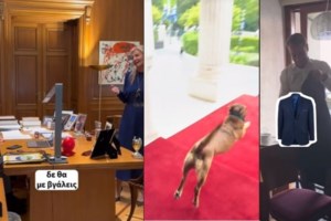 Η επιστροφή του... κομματόσκυλου: Η selfie Μητσοτάκη μαζί με τον Peanut στο Μαξίμου - εικόνα 3