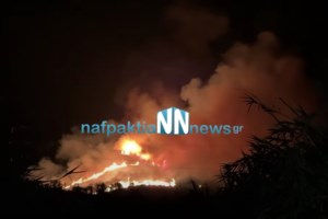 Φωτιά στον παράδρομο της Αττικής Οδού στο Κορωπί: Συναγερμός στην Πυροσβεστική - Σηκώθηκαν εναέρια μέσα