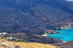 Μεγάλη φωτιά στη Λαμία: Ισχυρές πυροσβεστικές δυνάμεις στην περιοχή της Καμηλόβρυσης [βίντεο]