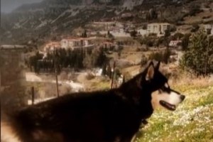 Νέος κύκλος καταθέσεων για τον 8χρονο Ολιβερ: Πού στρέφονται οι έρευνες για τη βάναυση κακοποίησή του