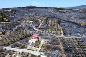 Φωτιά στη Λαμία: Σοβαρή αναζωπύρωση στο βόρειο μέρος της πόλης - Μήνυμα 112 για εκκένωση Αμφιθέας και Αχαρνών