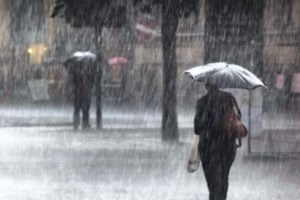 Βιολέτα του Γράμμου: Η μοναδική γυναίκα που ζει με τους άντρες κτηνοτρόφους στο βουνό - "Αμα δεις αρκούδα, ψυχραιμία, δεν μιλάς" [εικόνες] - εικόνα 5