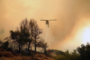 Εμπρησμοί: Ατιμωρησία δείχνουν οι αριθμοί - Μόλις 564 καταδίκες σε 19.712 συλλήψεις από το 2000 - εικόνα 2