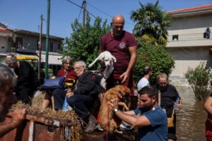 Εύβοια: Νήπιο μπερδεύτηκε και πήγε στο Δημοτικό - Του έδωσαν μέχρι και... βιβλία