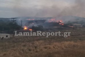 Φωτιά στην Εύβοια: Στις παραλίες σπεύδουν οι κάτοικοι - Απομακρύνονται με σκάφη - Ανεξέλεγκτα τα μέτωπα - εικόνα 5
