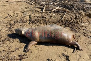 Τα δύο πρόσωπα του καιρού το φθινόπωρο: Πλημμύρες στη δυτική Ελλάδα, ανομβρία στην υπόλοιπη - εικόνα 3