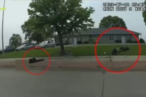 Φρικιαστικό έγκλημα στις ΗΠΑ: Μεσίτρια ξυλοκοπήθηκε μέχρι θανάτου με ρόπαλο του μπέιζμπολ - Συνελήφθη ο θετός γιος της - εικόνα 2