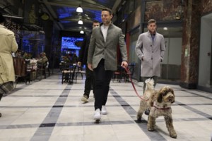 Στ. Κασσελάκης στην ΚΟ: Βγαλμένα από τις πιο σκληρές παραδόσεις των trickle down economics όσα λένε οι βουλευτές της ΝΔ - εικόνα 2