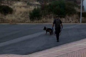 Κόβει την ανάσα το βίντεο με ντεπόζιτο που "προσγειώνεται" σε 5 φίλους σε καφενείο της Κρήτης!