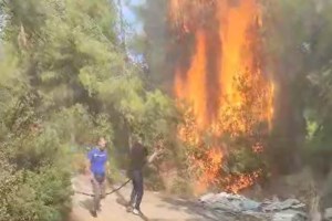 Κιάλια, αναπτήρες, βαμβάκι και τσακμάκι βρέθηκαν πάνω στον ύποπτο για εμπρησμό στον Αυλώνα- Αναπτήρες είχε και ο ύποπτος στο Μενίδι… - εικόνα 6